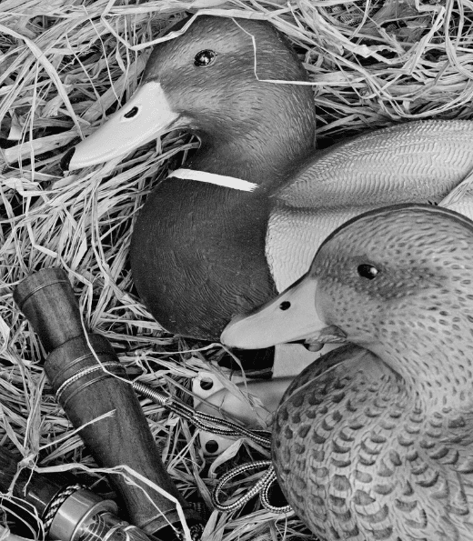 The Decoy Effect in Marketing